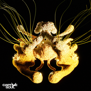 日本魔镜里操逼
